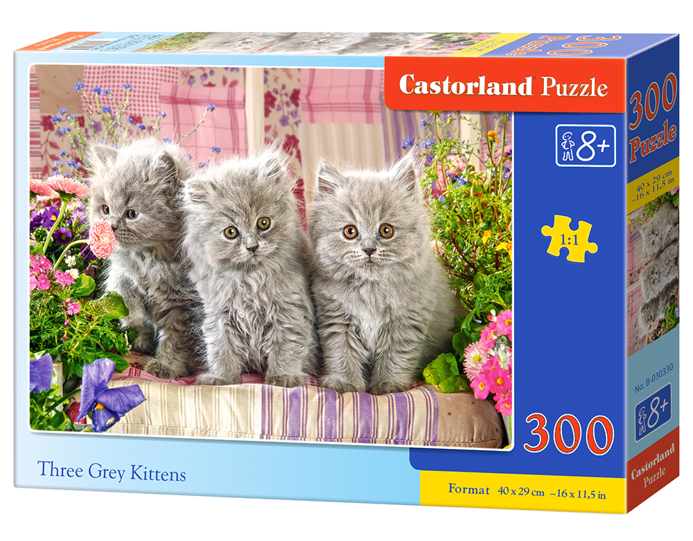 Three Grey Kittens
