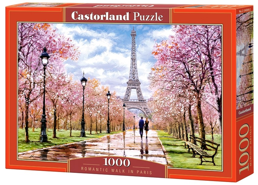 Romantic Walk in Paris 