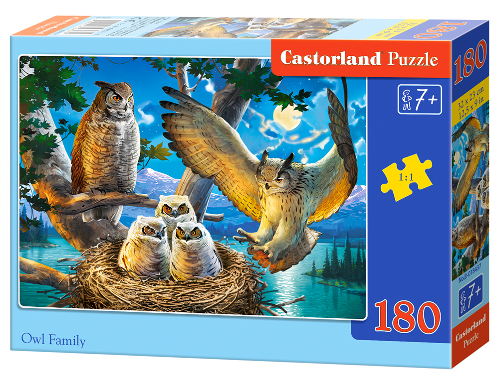 Owl Family