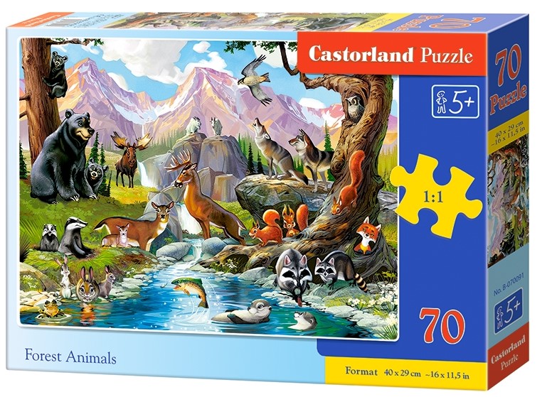 Forest Animals