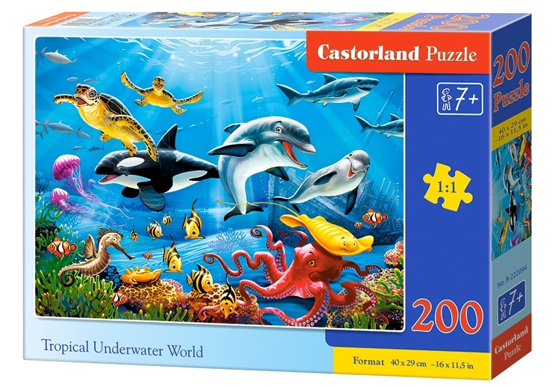 Tropical Underwater World