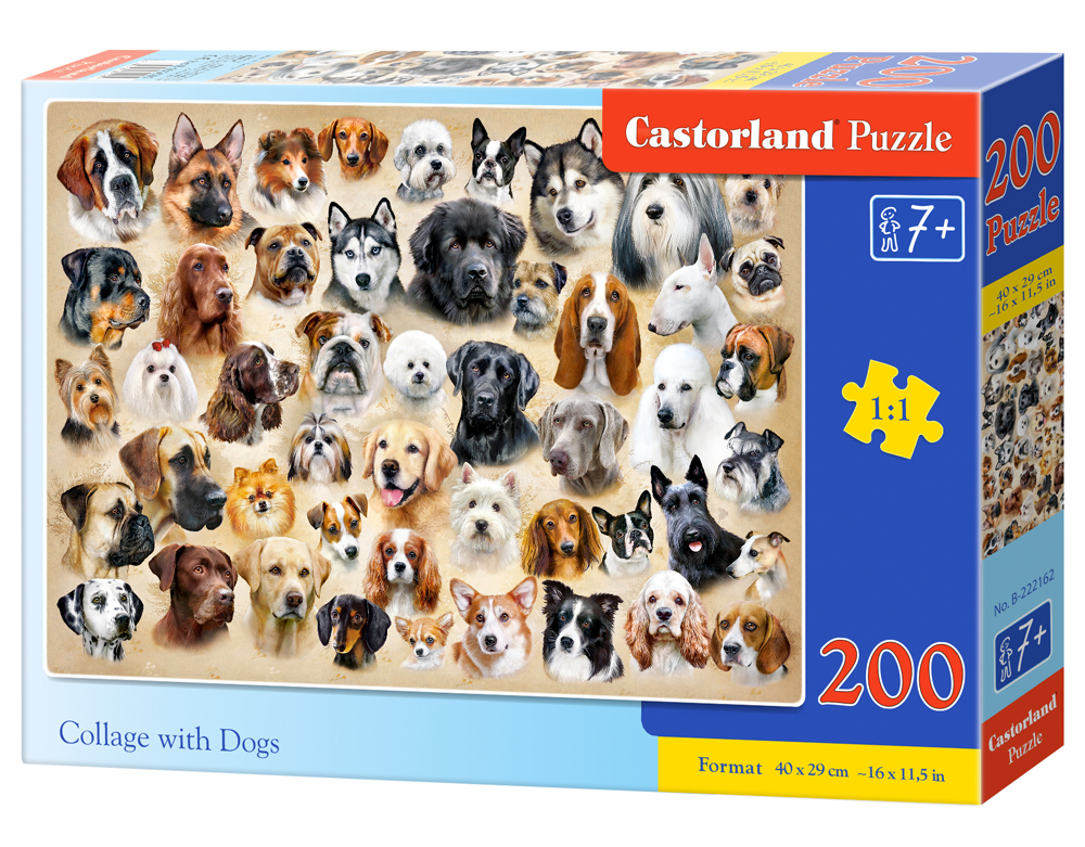Collage with Dogs